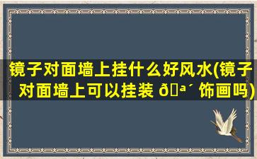 镜子对面墙上挂什么好风水(镜子对面墙上可以挂装 🪴 饰画吗)
